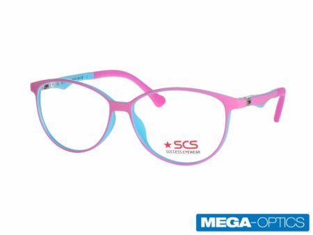 SUCCESS BJ-XS6616 C5